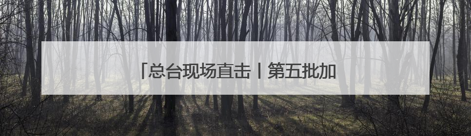 总台现场直击丨第五批加沙病患抵达约旦接受治疗