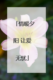 情暖夕阳 让爱无忧