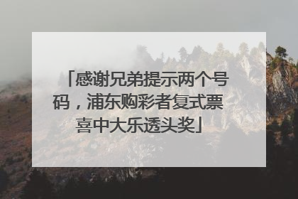 感谢兄弟提示两个号码，浦东购彩者复式票喜中大乐透头奖