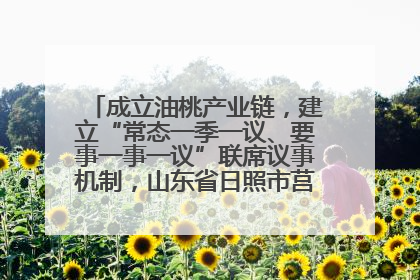 成立油桃产业链，建立“常态一季一议、要事一事一议”联席议事机制，山东省日照市莒县果庄镇——13个党小组“全周期”育果
