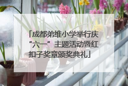 成都弟维小学举行庆“六一”主题活动暨红扣子奖章颁奖典礼