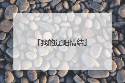 我的辽阳情结