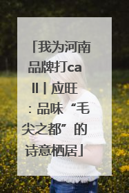 我为河南品牌打call丨应旺：品味“毛尖之都”的诗意栖居