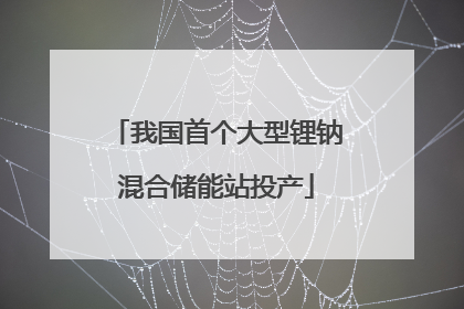 我国首个大型锂钠混合储能站投产