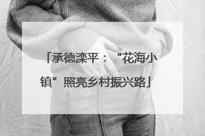 承德滦平：“花海小镇”照亮乡村振兴路