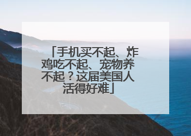 手机买不起、炸鸡吃不起、宠物养不起？这届美国人活得好难