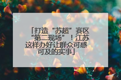 打造“苏超”赛区“第二现场”！江苏这样办好让群众可感可及的实事