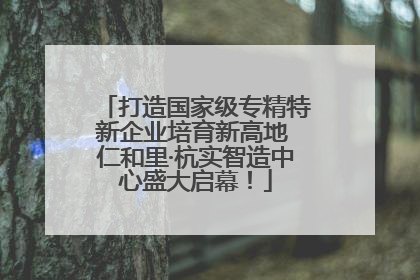 打造国家级专精特新企业培育新高地 仁和里·杭实智造中心盛大启幕！