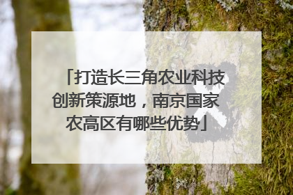 打造长三角农业科技创新策源地，南京国家农高区有哪些优势