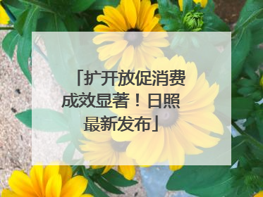 扩开放促消费成效显著！日照最新发布