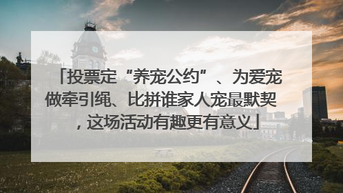 投票定“养宠公约”、为爱宠做牵引绳、比拼谁家人宠最默契，这场活动有趣更有意义