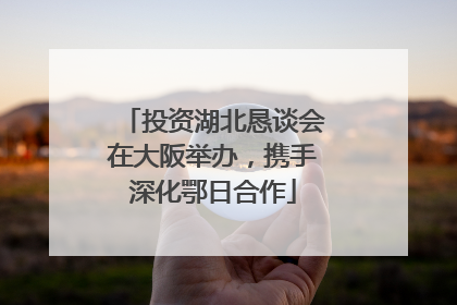 投资湖北恳谈会在大阪举办，携手深化鄂日合作