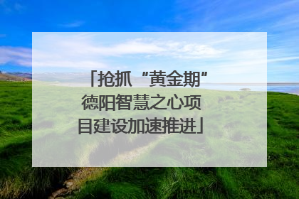 抢抓“黄金期” 德阳智慧之心项目建设加速推进