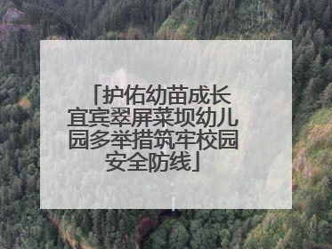 护佑幼苗成长 宜宾翠屏菜坝幼儿园多举措筑牢校园安全防线