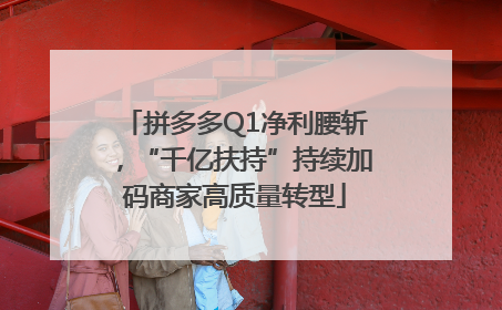 拼多多Q1净利腰斩，“千亿扶持”持续加码商家高质量转型
