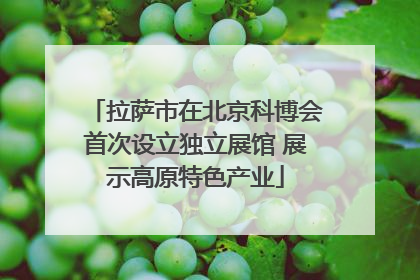 拉萨市在北京科博会首次设立独立展馆 展示高原特色产业
