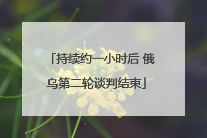 持续约一小时后 俄乌第二轮谈判结束