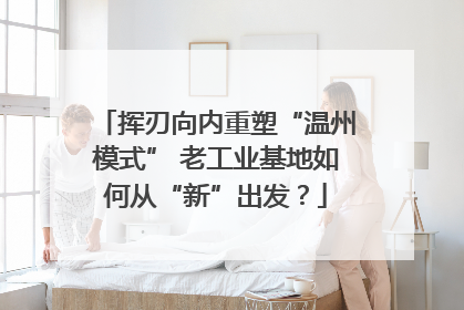 挥刃向内重塑“温州模式” 老工业基地如何从“新”出发？