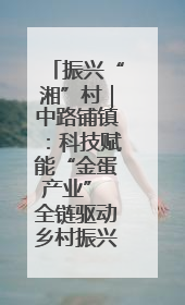 振兴“湘”村｜中路铺镇：科技赋能“金蛋产业” 全链驱动乡村振兴