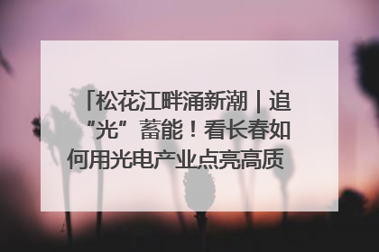 松花江畔涌新潮｜追“光”蓄能！看长春如何用光电产业点亮高质量发展新赛道