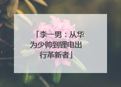 李一男：从华为少帅到锂电出行革新者