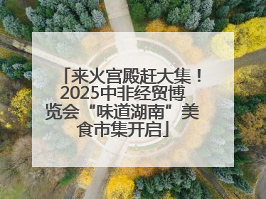 来火宫殿赶大集！2025中非经贸博览会“味道湖南”美食市集开启