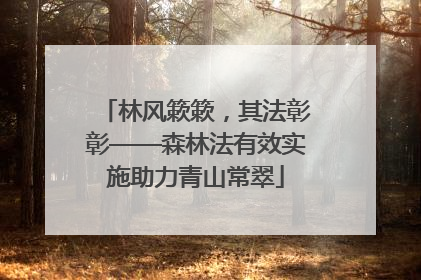 林风簌簌，其法彰彰——森林法有效实施助力青山常翠