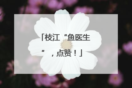 枝江“鱼医生”，点赞！