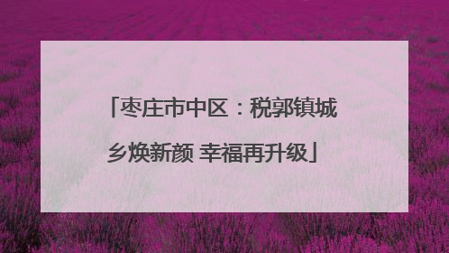 枣庄市中区：税郭镇城乡焕新颜 幸福再升级