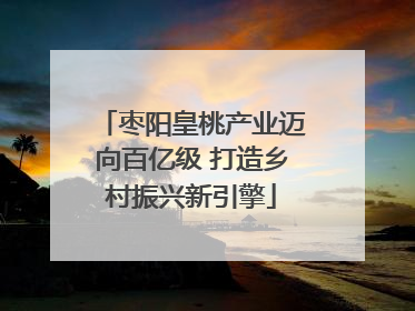 枣阳皇桃产业迈向百亿级 打造乡村振兴新引擎
