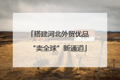 搭建河北外贸优品“卖全球”新通道
