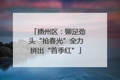 播州区：铆足劲头“抢春光”全力拼出“首季红”