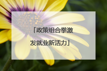 政策组合拳激发就业新活力