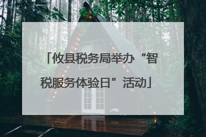 攸县税务局举办“智税服务体验日”活动