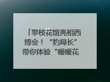 攀枝花馆亮相西博会！“豹局长”带你体验“暖暖花城”独特魅力｜西博视界