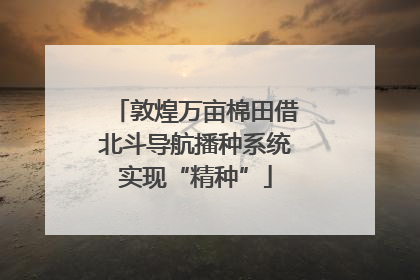 敦煌万亩棉田借北斗导航播种系统实现“精种”