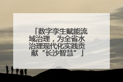 数字孪生赋能流域治理，为全省水治理现代化实践贡献“长沙智慧”