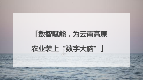 数智赋能，为云南高原农业装上“数字大脑”
