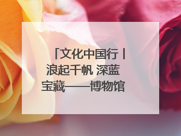 文化中国行丨浪起千帆 深蓝宝藏——博物馆里的海丝遗珍