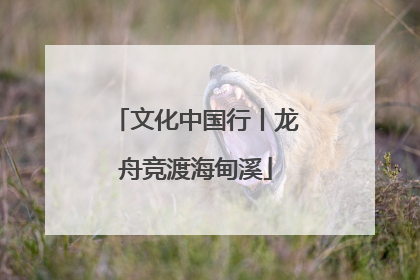 文化中国行丨龙舟竞渡海甸溪