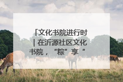 文化书院进行时｜在沂源社区文化书院，“粽”享“端午”美好时光