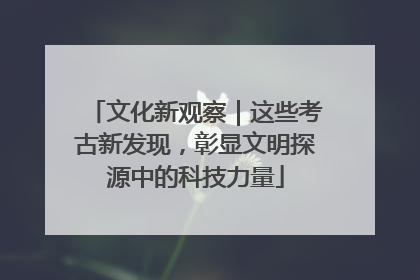 文化新观察|这些考古新发现,彰显文明探源中的科技力量