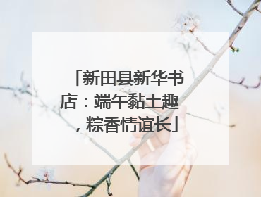 新田县新华书店：端午黏土趣，粽香情谊长