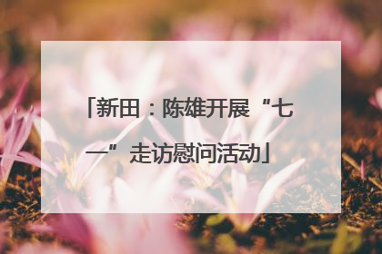 新田：陈雄开展“七一”走访慰问活动