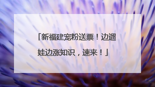 新福建宠粉送票！边遛娃边涨知识，速来！