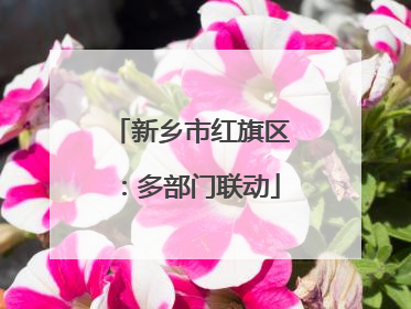 新乡市红旗区：多部门联动