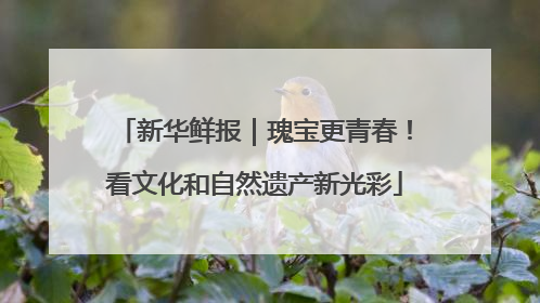 新华鲜报｜瑰宝更青春！看文化和自然遗产新光彩