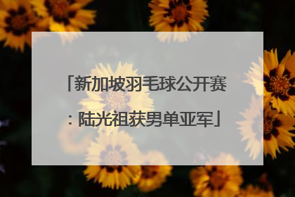新加坡羽毛球公开赛：陆光祖获男单亚军