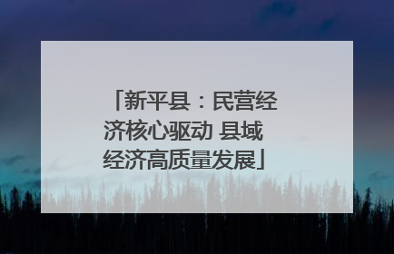 新平县：民营经济核心驱动 县域经济高质量发展