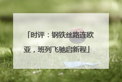 时评：钢铁丝路连欧亚，班列飞驰启新程